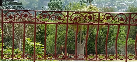 Alana wrought iron balustrade